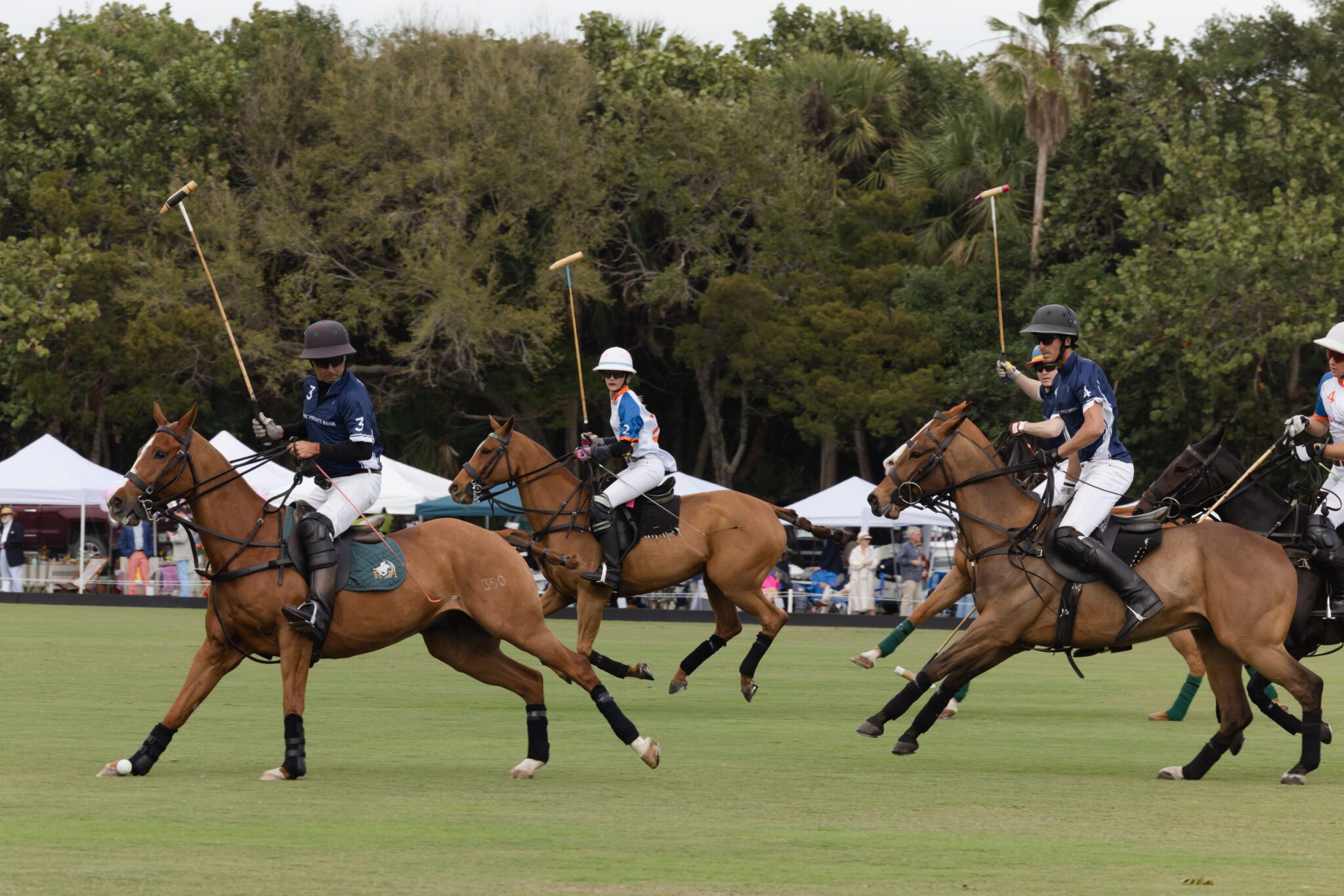 Windsor Charity Polo Cup Returns for its Seventh Biennial Event in Vero ...