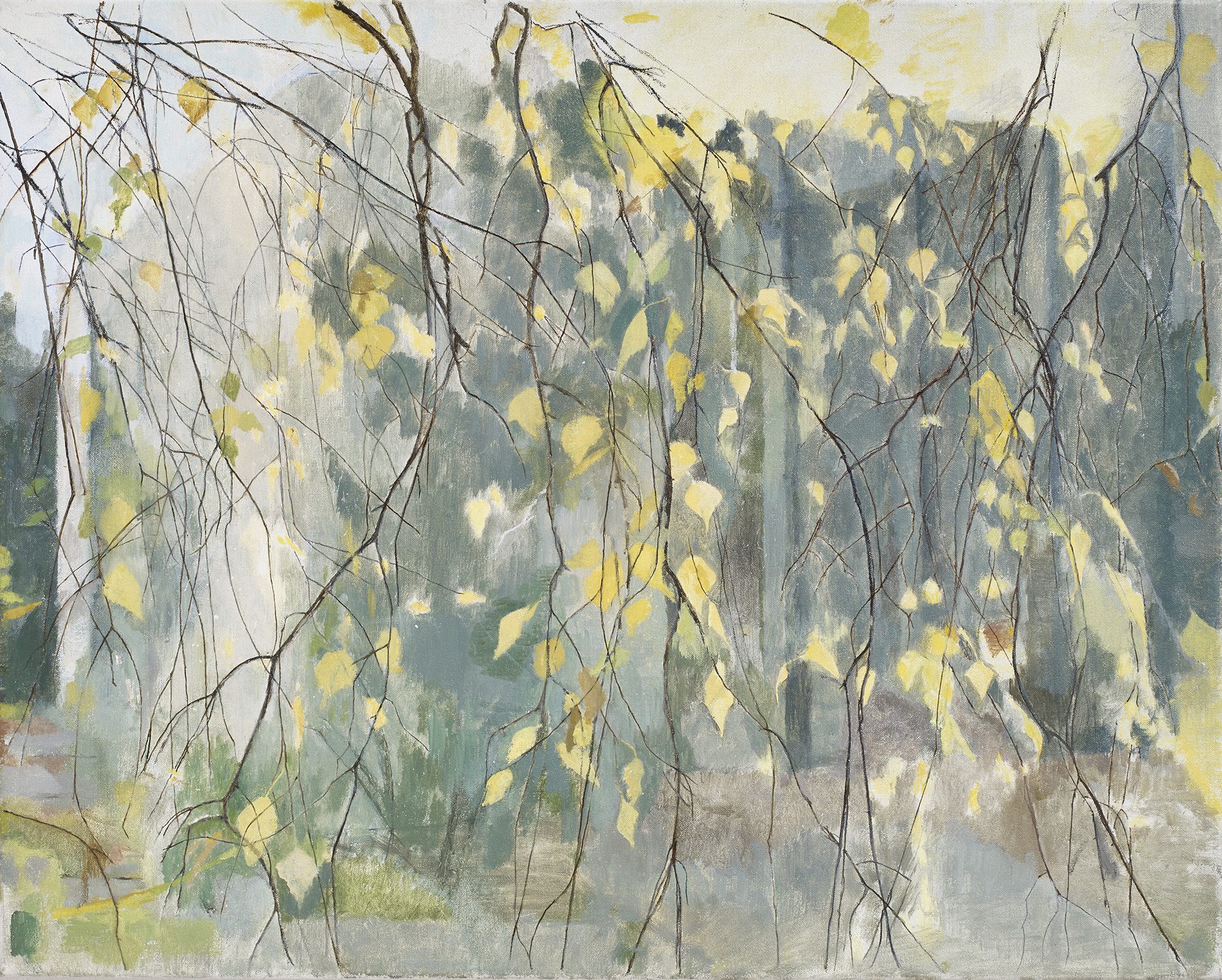 Betula Weeping, 2009-2014, Charlotte Verity, oil on canvas, 60.5 x 75.4 cm